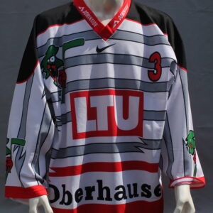 Revierlöwen Oberhausen